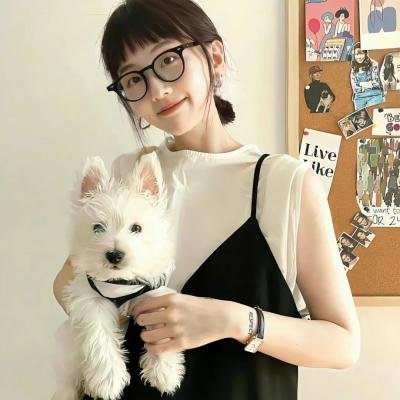 当泰拉遇上比拉尔